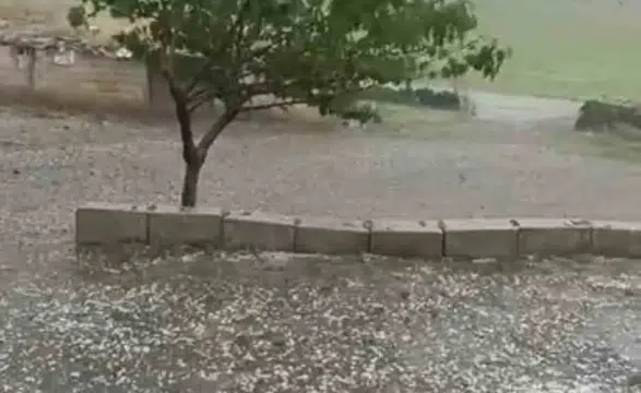 Siverek’te dolu felaketi tarlaları vurdu