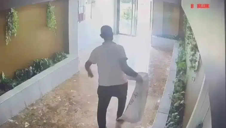 Şanlıurfa'da yavru kedi kayıpları apartman görevlisinin çuvalıyla ortaya çıktı