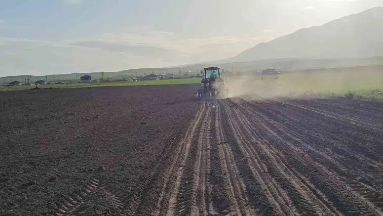 Adilcevaz ovasında şeker pancarı mesaisi başladı