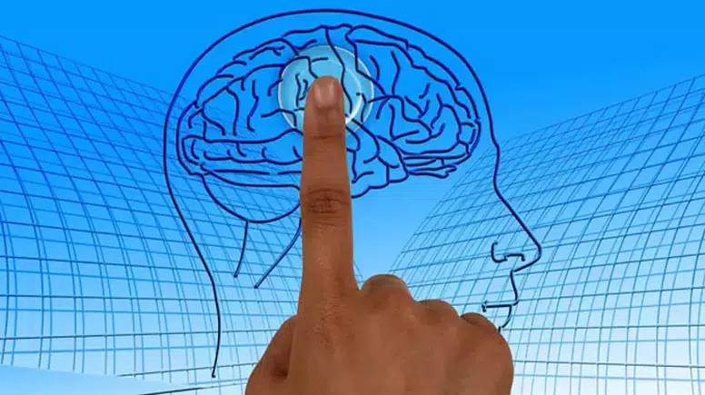 İki dil konuşmak beyin bağlantılarını güçlendiriyor