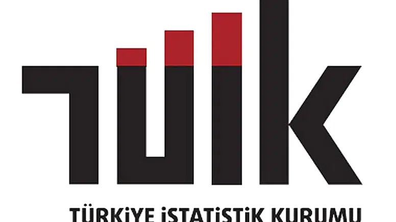 TÜİK verileri ortaya koydu: Kadınların istihdam oranı erkeklerin yarısından az
