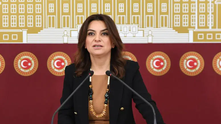 DEM Partili Koçyiğit: Kürt sorununun çözümü için 8-10 maddelik kod kanun gerekli