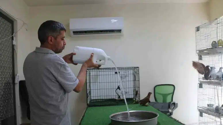 Diyarbakır'da güvercinlere "5 yıldızlı" bakım: Klimalı odalarda serinliyorlar