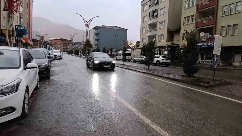 Hakkari sağanak yağış ve yoğun sis altında kaldı