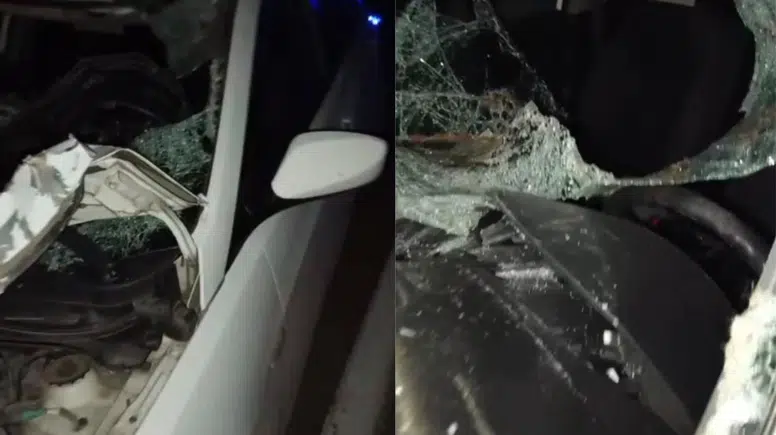 Bingöl yolunda inek kazası dört kişiyi hastanelik etti