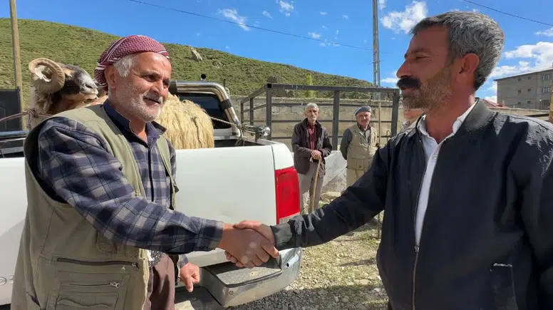 Yüksekova hayvan pazarında bayram mesaisi başladı
