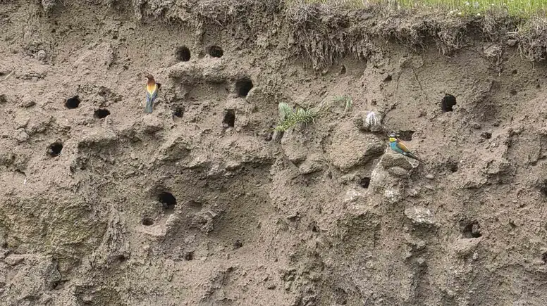 Bitlis’in gökyüzü renkli misafirlerini ağırlıyor