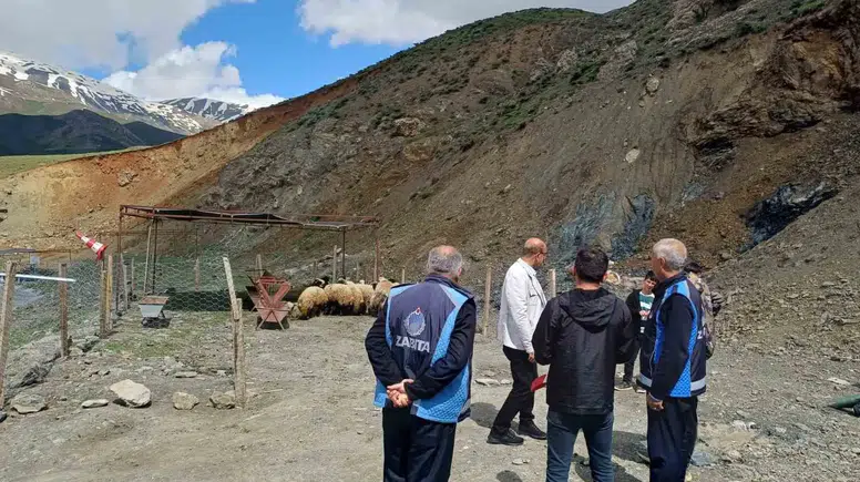 Hakkari’de kurbanlık pazarı kuruldu