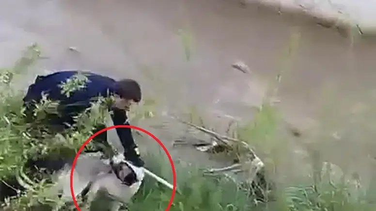 Muşta itfaiye erinden fedakar kurtarma operasyonu