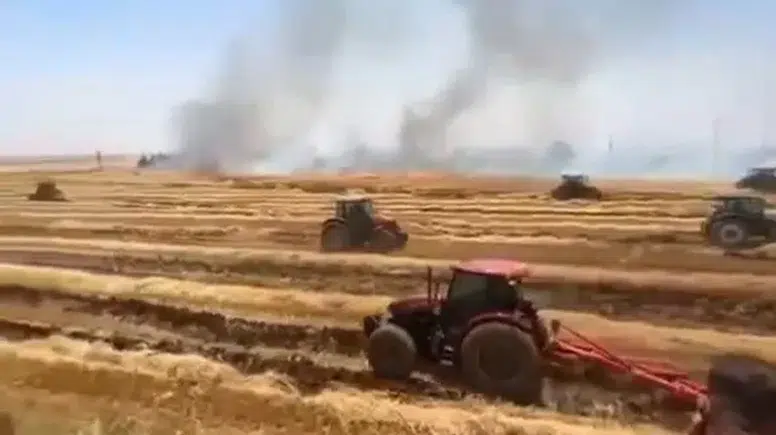 Viranşehirde anız yangını çiftçinin emeğini yaktı