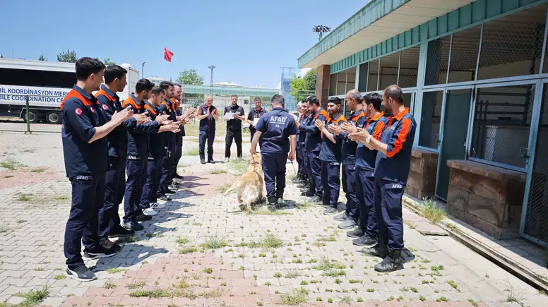 Emekli olması beklenen kurtarma köpeği Köpük sınavda derece yaptı