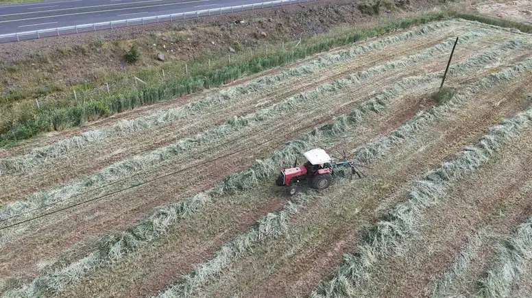 Bingöllü çiftçiler verimli hasadın ardından ikinci ürün mesaisine başladı