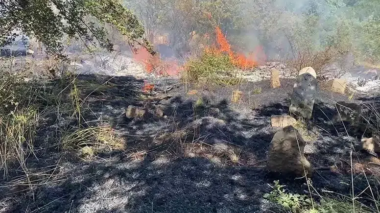 Bitlis merkezinde aynı gün çıkan iki yangın çevrede korku yarattı