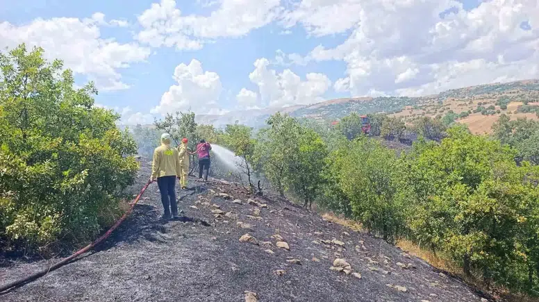 Bingöl Yamaç köyünde çıkan orman yangını ekiplerin hızlı müdahalesiyle söndürüldü