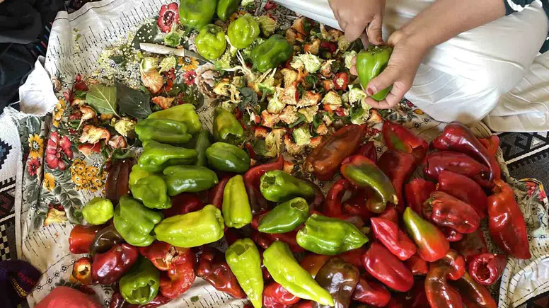 Patnoslu kadınlar kışlık biberlerini geleneksel yöntemlerle ipe dizerek kurutuyor