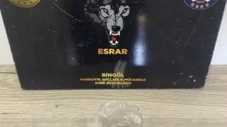 Bingöl Emniyetinden geniş çaplı operasyon 43 kişi yakalandı