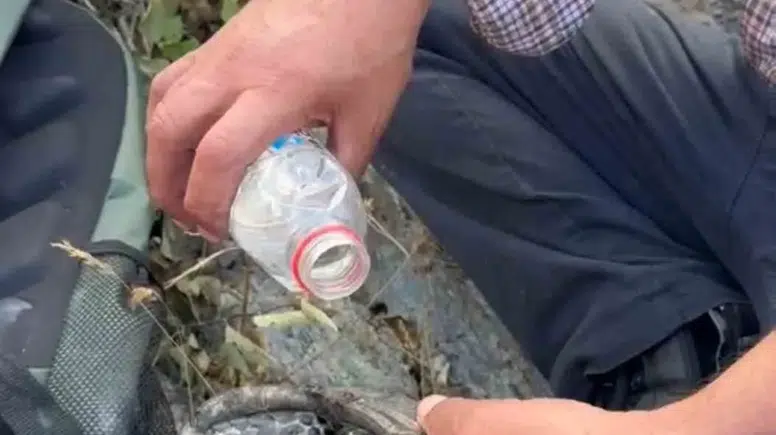 Elazığ'da yangından kaçan kaplumbağaya vatandaşlar sahip çıktı
