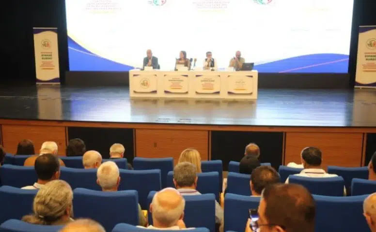 Kürt Dil Konferansı'nda statü ve anadilde eğitim vurgusu: "Dil yasal güvence altına alınmalı"