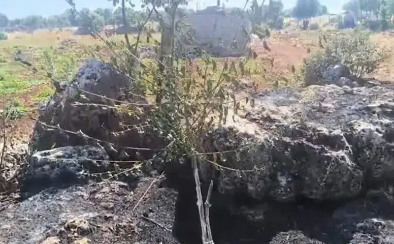 Diyarbakır Dicle kırsalında çıkan yangın meyve bahçelerine büyük zarar verdi