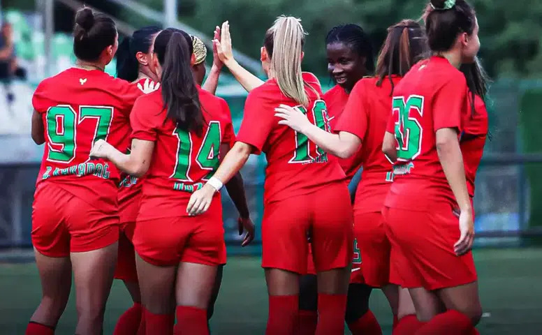 Amedspor ilk yarıda 7 gol attı, rakibi sahaya çıkamadı