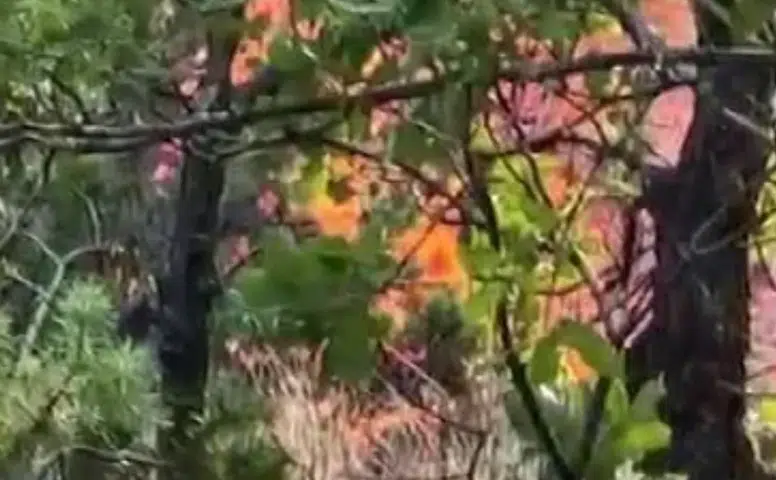 Diyarbakır’da Dicle ile Hani arasında yangın büyüyor