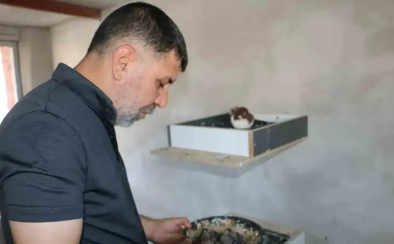 Yangında 100’den fazla kuşunu kaybetmişti: Güvercin oteli yeniden açıldı