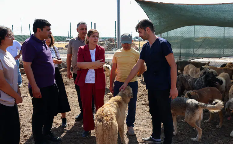 Eşbaşkan Bucak, Doğal Yaşam Alanı’ndaki canlıları inceledi