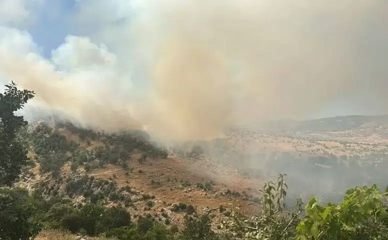 Silvan’da alevler ormana ulaştı: Ekipler bölgede