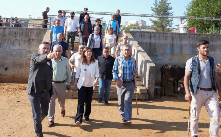 Diyarbakır Hayvan Borsası hafta sonları kapanıyor: Yeni tesis için tarih verildi