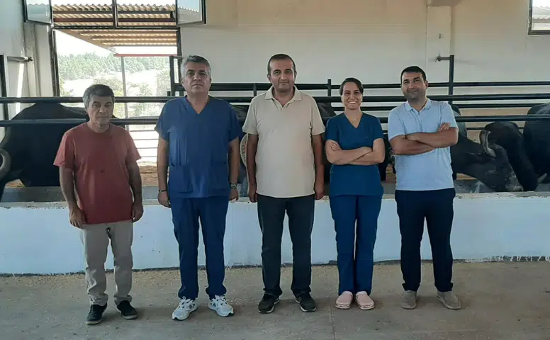 İtalyan kökenli mandalar Diyarbakır’da çoğaltılıyor: Hedef yetiştiriciye ulaşmak
