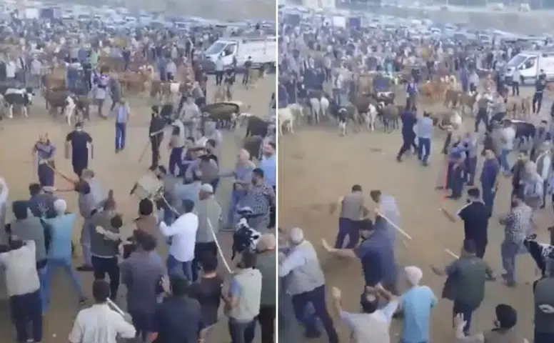 Diyarbakır’da hayvan borsasında sopalı kavga: Çok sayıda yaralı