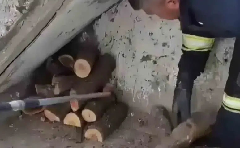 Diyarbakırda bir evin odunluğuna giren dev yılan paniğe neden oldu