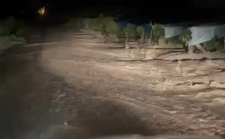 Elazığ'da sağanak yağış üzüm bağlarını sular altında bıraktı