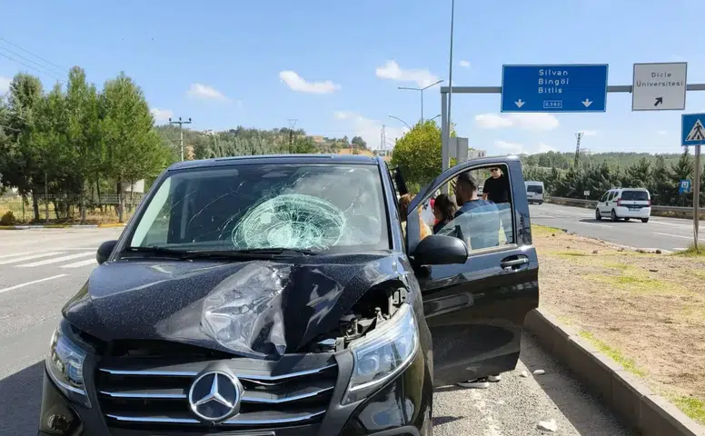 Diyarbakır'da yolun karşısına geçmeye çalışan kadın araç çarpması sonucu hayatını kaybetti