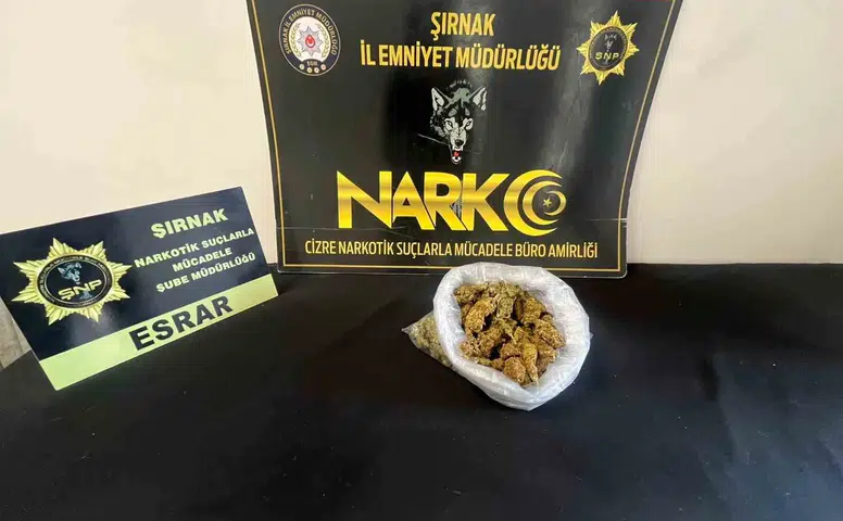 Şırnak genelinde düzenlenen operasyonlarda 104 şüpheli yakalandı