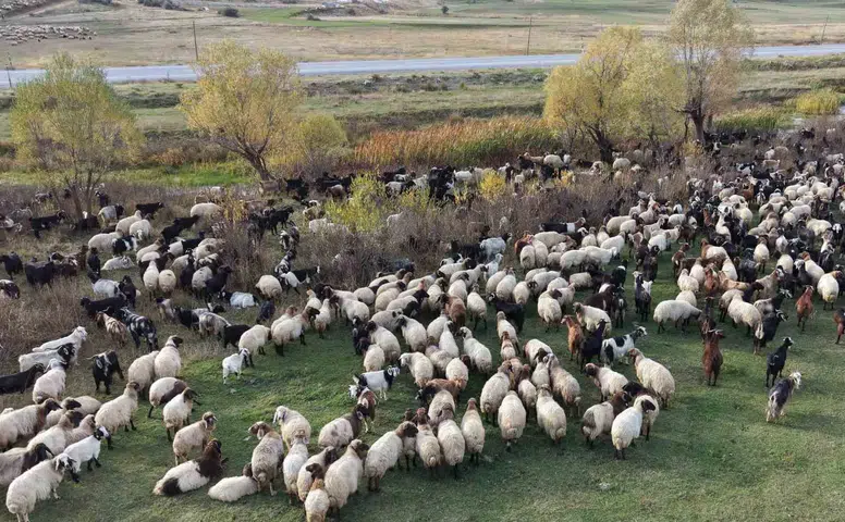 Göçerlerin Van’dan Siirt’e zorlu dönüş yolculuğu başladı