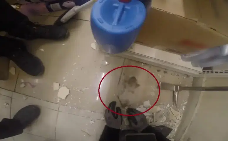 Diyarbakırda demir profile sıkışan yavru kedi itfaiye ekiplerince kurtarıldı