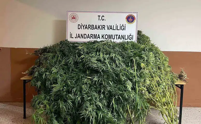 Diyarbakır'da jandarmadan büyük uyuşturucu operasyonu