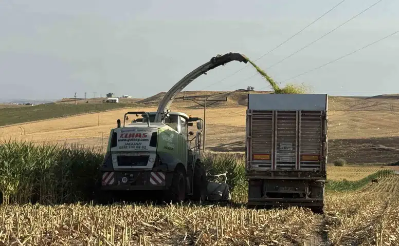 Diyarbakır topraklarında silajlık mısır bereketi başladı