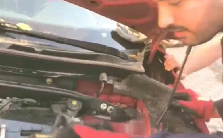 Diyarbakırda otomobilin motoruna sığınan üç yavru kedi kurtarıldı