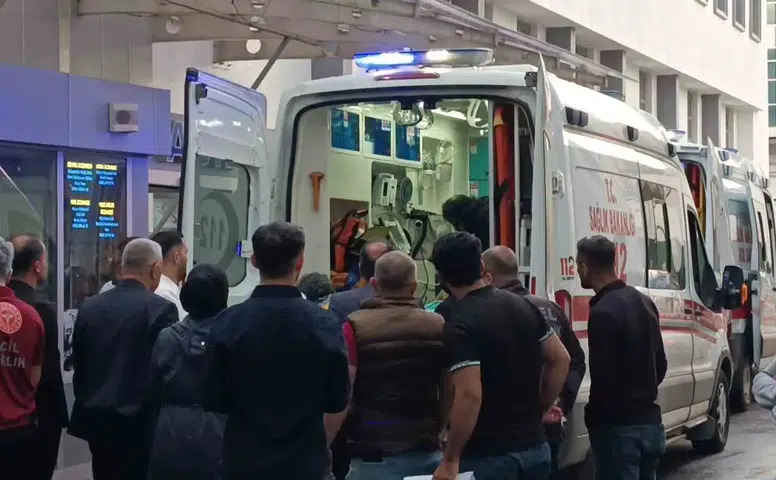 Batman'da merada yakalandığı yıldırım çobanı hastanelik etti