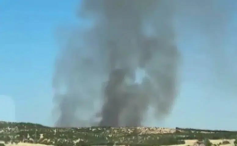Diyarbakır Lice sınırlarında çıkan orman yangını korkuttu