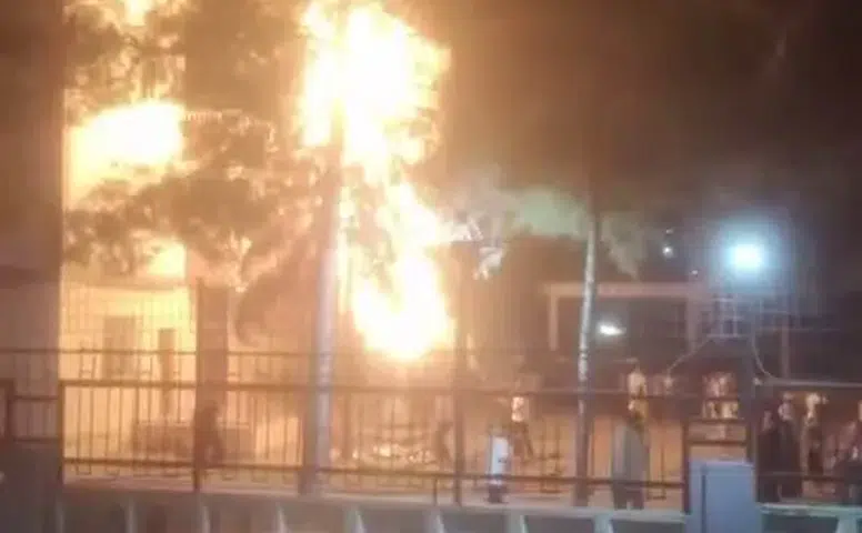 Diyarbakırda havai fişekler site içindeki ağacı tutuşturdu