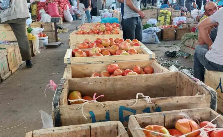 Çüngüş Atalar Mahallesi'nde ata tohumu domates hasadı başladı