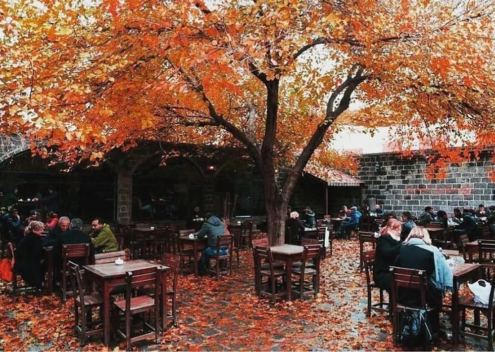 1683 yılından günümüze: Sülüklü Han'ın hikayesi 5