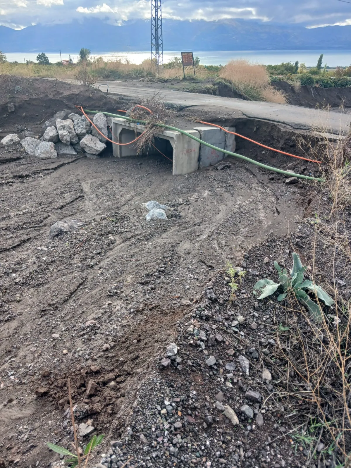 Elazığ'da sağanak yağış üzüm bağlarını sular altında bıraktı