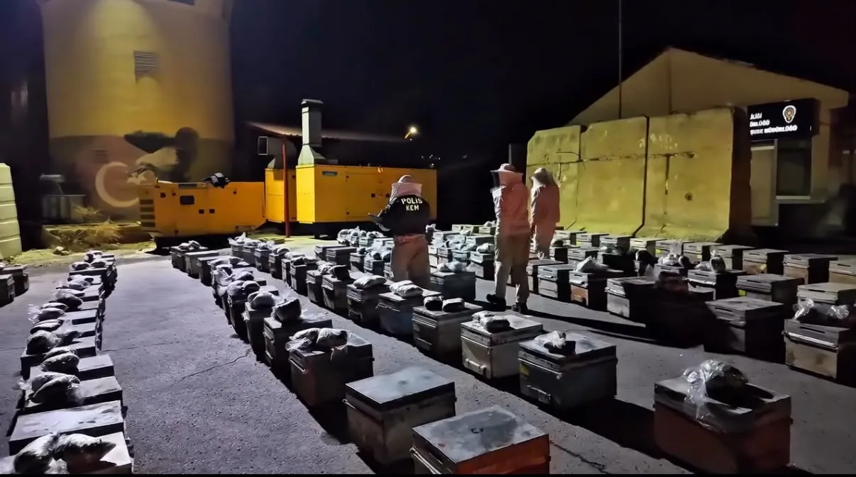 Yüksekova'da arı kovanlarına gizlenmiş 91 kilo uyuşturucu yakalandı