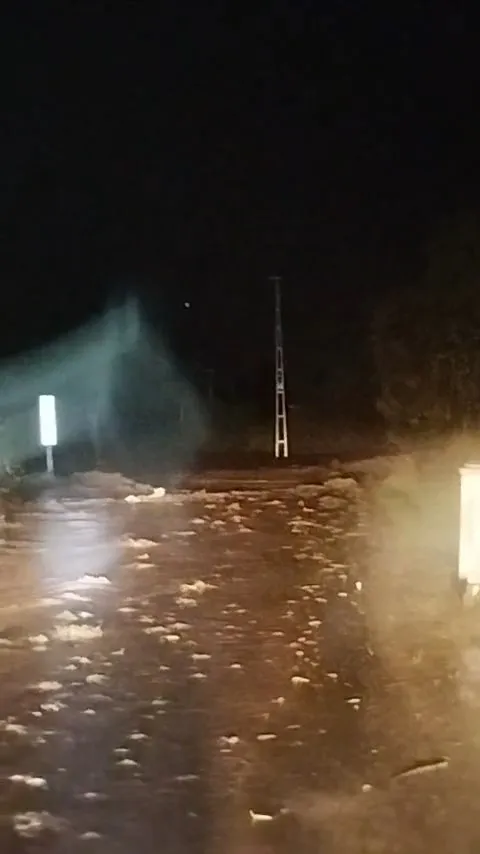 Elazığ'da sağanak yağış üzüm bağlarını sular altında bıraktı