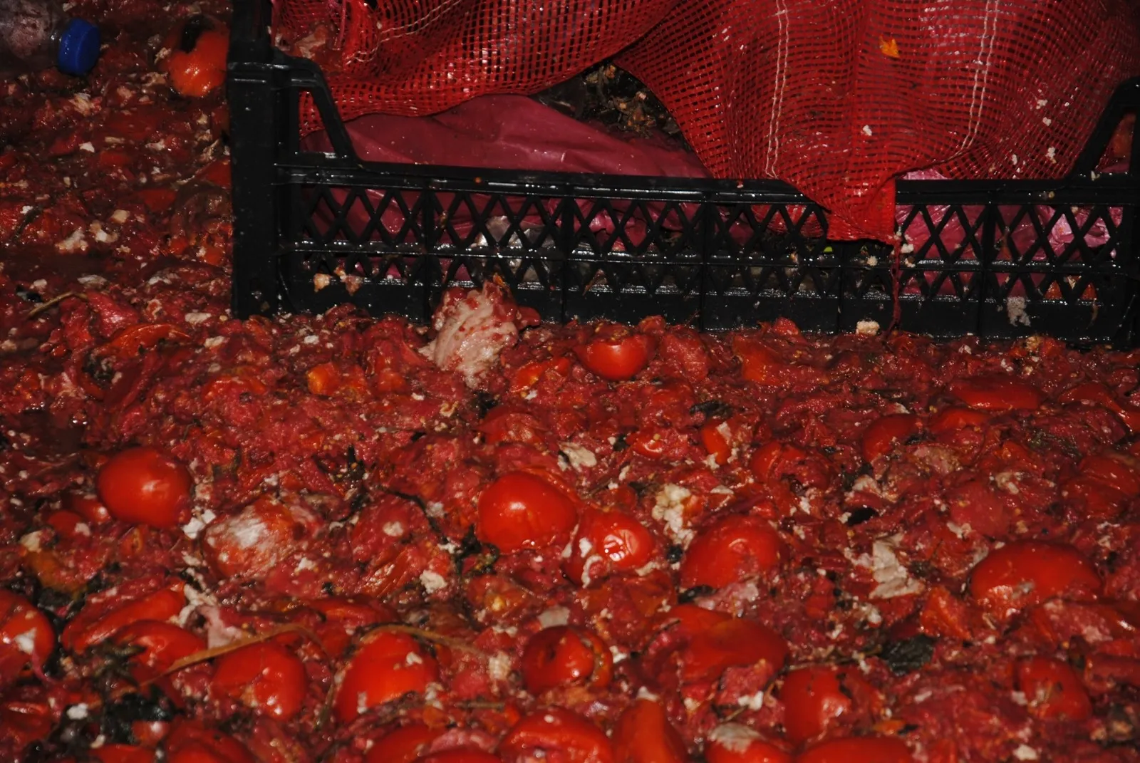 Şanlıurfa'da sağlıksız gıda üretimi yapan imalathaneye zabıta baskını