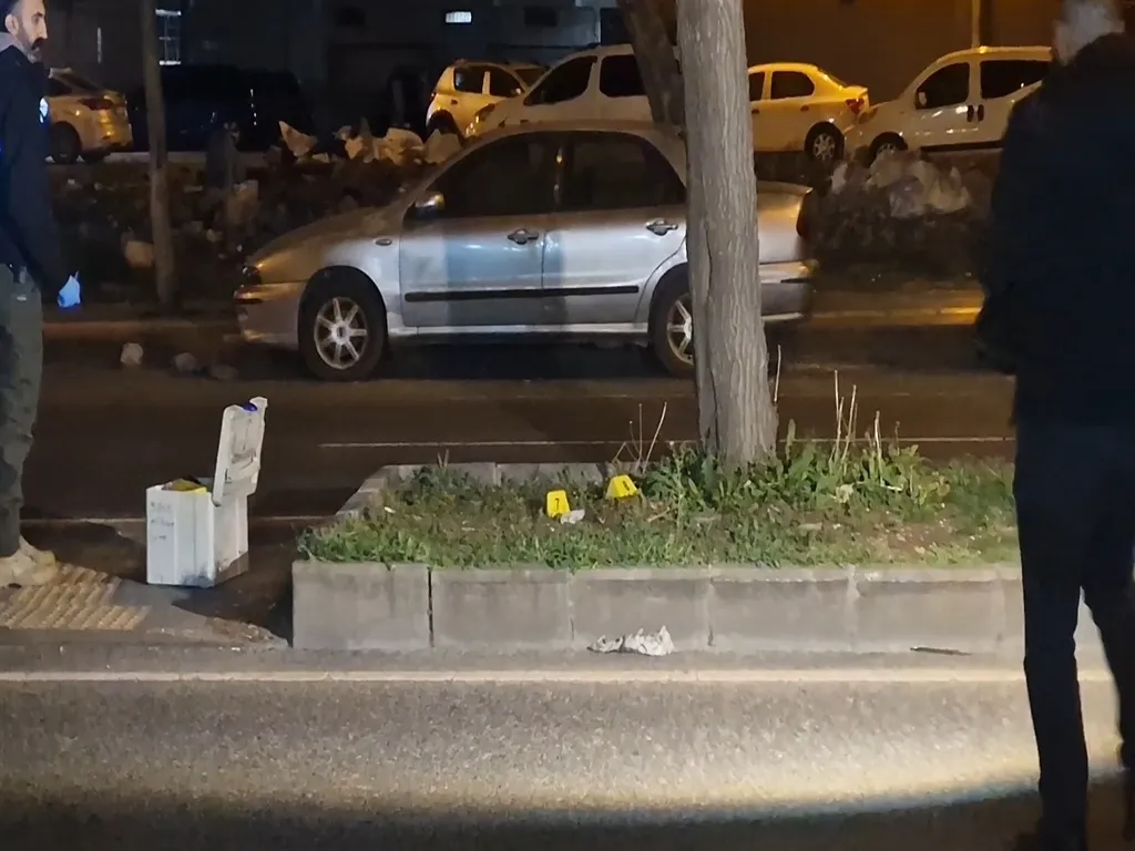 Diyarbakır'da ayrı yaşadığı eşini öldüren sanık için ağırlaştırılmış müebbet istendi